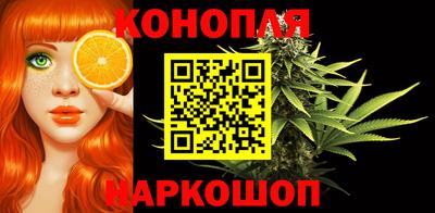 бошки Дубна