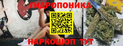 бошки Дубна