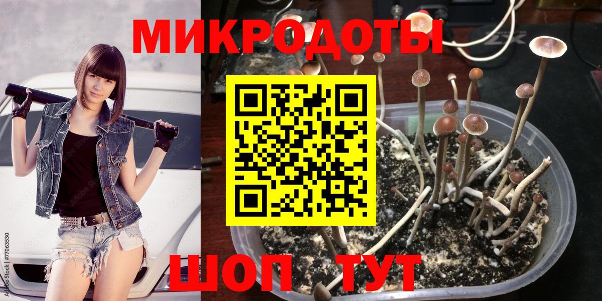 Галлюциногенные грибы MAGIC MUSHROOMS Мурино